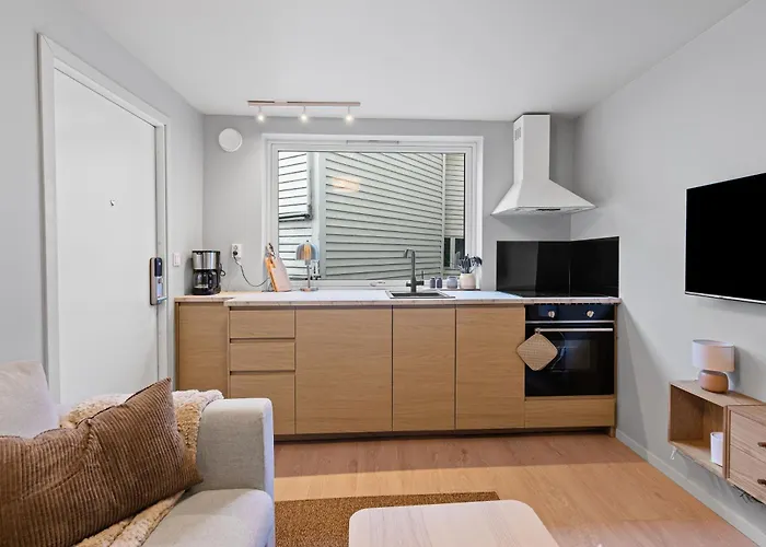 Modern In The Heart Of Daire Bergen